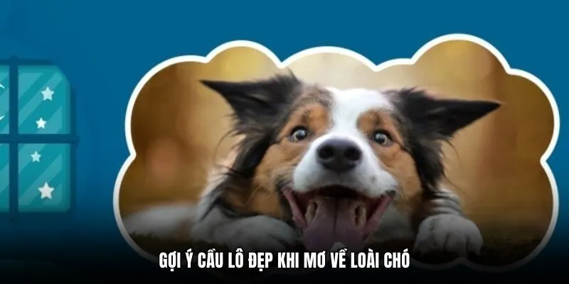 Gợi ý cầu lô đẹp khi mơ về loài chó