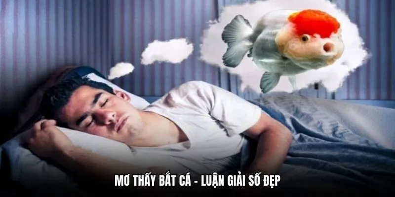 Mơ thấy bắt cá